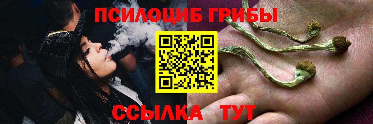 Галлюциногенные грибы прущие грибы Сызрань